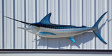 98" Striped Marlin Full Mount Fish Replica Customer Proofs 22441