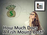 How Much Does A Fish Mount Cost?