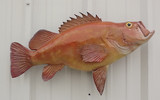 Product Update - Yelloweye Rockfish Mounts Discontinued