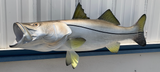 40 Inch Snook Fish Mount Production Proofs - Invoice #21325