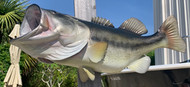 23 Inch Largemouth Bass Fish Mount Production Proofs - Invoice #21368