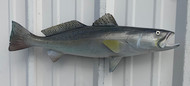 24" Seatrout Full Mount Fish Replica Customer Proofs 21988