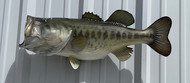 27" Largemouth Bass Full Mount Fish Replica Customer Proofs 22658