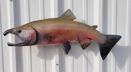 28" Coho Salmon Full Mount Fish Replica Customer Proofs 22094