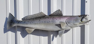 28" Seatrout Full Mount Fish Replica Customer Proofs 22444