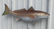 29" Redfish Full Mount Fish Replica Customer Proofs 21982