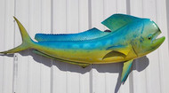 48" Bull Dolphin Full Mount Fish Replica Customer Proofs 21840