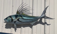 49" Roosterfish Full Mount Fish Replica Customer Proofs 21907