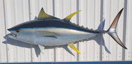 55" Yellowfin Tuna & 58" Wahoo Full Mount Fish Replicas Customer Proofs 22106