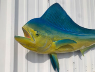 59" Cow Dolphin Full Mount Fish Replica Customer Proofs 22211 