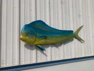 60" Bull Dolphin Full Mount Fish Replica Customer Proofs 22225