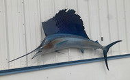 95" Sailfish Full Mount Fish Replica Customer Proofs 22043