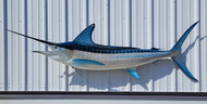 98" Striped Marlin Full Mount Fish Replica Customer Proofs 22441