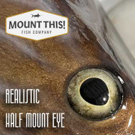 ​A Fresh Start for Half Mount Fish Replicas in 2025