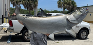 74 Inch Tarpon Fish Mount Production Proofs - Invoice #21470