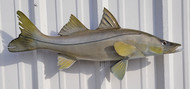 31" Snook Full Mount Fish Replica Customer Proofs Craig