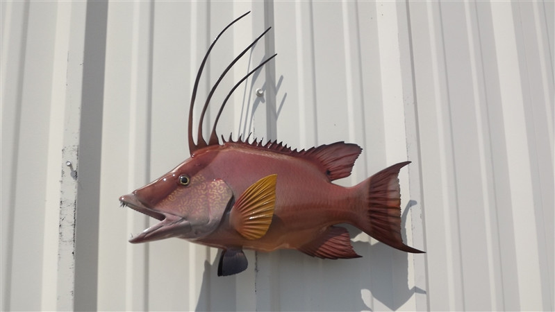 18 Inch Hog Snapper Fish Mount Replica Reproduction For Sale