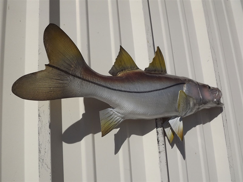 26 Inch Snook Half Mount Snook Half Sided Replica