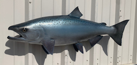 38" King Salmon Full Mount Fish Replica Customer Proofs 21861