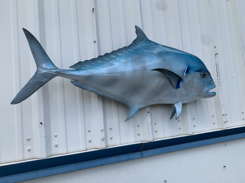 45 Inch African Pompano Full Mount Fish Replica - Flank View
