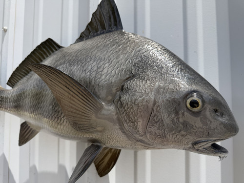 25 Inch Black Drum Full Mount - Face View