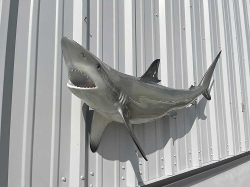 51 inch blacktip shark replica 51 inch blacktip shark replica