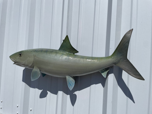 32 inch bonefish fish reproduction for sale 32 inch bonefish fish reproduction for sale