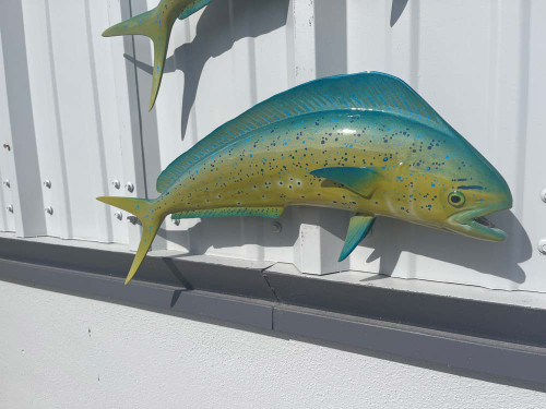 22 bull dolphin combo fish replicas