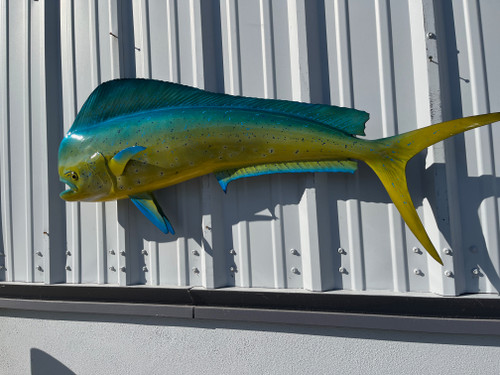 In Stock 48 Inch Bull Dolphin Full Mount Fish Replica - Flank View
