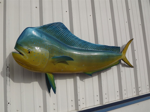 58 Inch Bull Dolphin Full Mount Replica