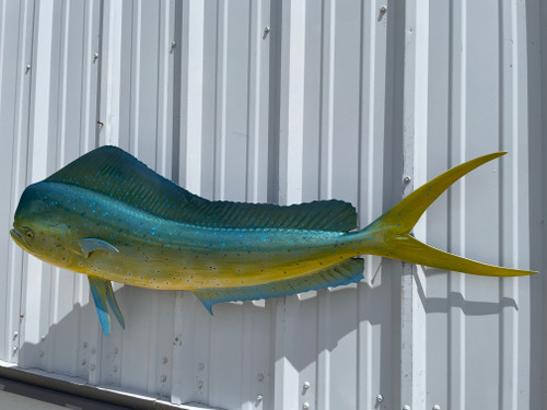53 inch bull dolphin fish mount replica for sale 53 inch bull dolphin fish mount replica for sale