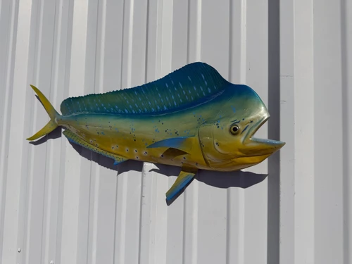 33 inch bull dolphin half sided fish mount