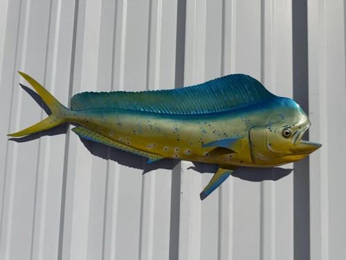 33 inch bull dolphin half sided fish mount replica