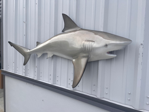 67 Inch Bull Shark Half Mount Replica - Head View