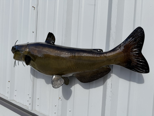 31 inch channel catfish replica in stock