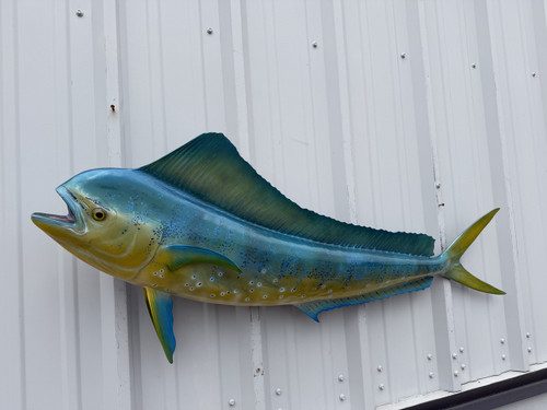 51 inch cow dolphin fish replica for sale
