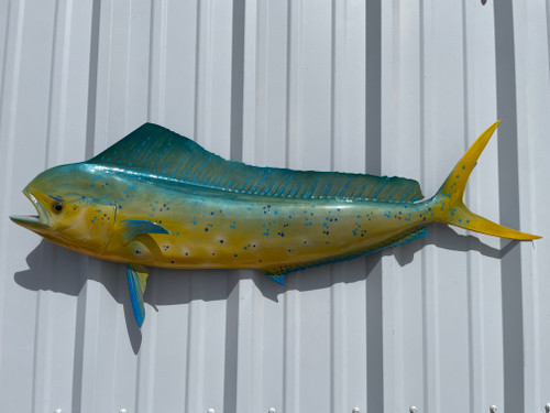 42 Inch Bottlenose Dolphin Teal Half Mount Bottlenose Dolphin Half