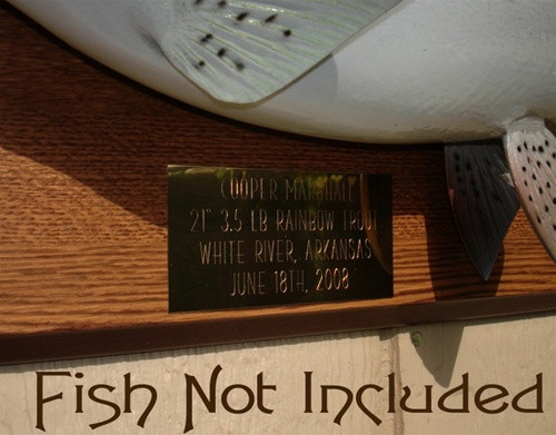 24" x 9" Solid Wood Panel & Brass Plate 24" x 9" Solid Wood Panel & Brass Plate