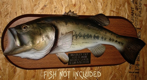 24" x 9" Solid Wood Panel & Brass Plate 24" x 9" Solid Wood Panel & Brass Plate