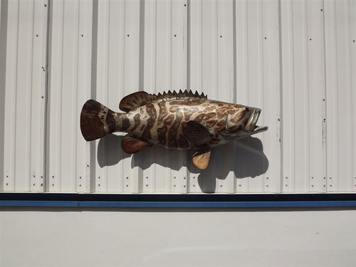 44 Inch Goliath Grouper Full Mount Fish Replica 44 Inch Goliath Grouper Full Mount Fish Replica