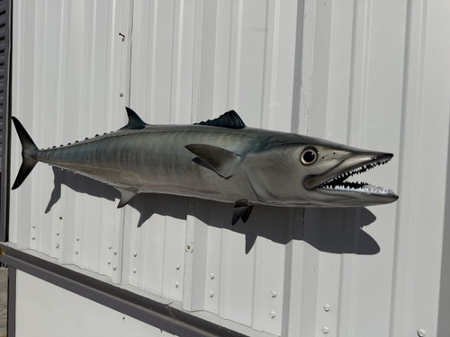 In Stock 49 Inch Kingfish Full Wall Mount Replica - Head View