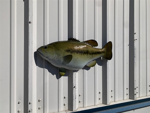 23 inch largemouth bass fish mount replica left