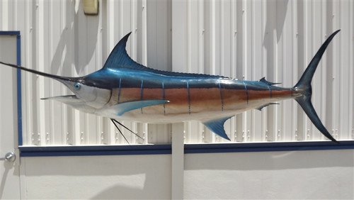 110 inch blue marlin mount