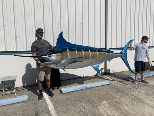153 Blue Marlin Fish Mount