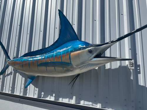 105 Inch Striped Marlin Full Mount Replica - Head View