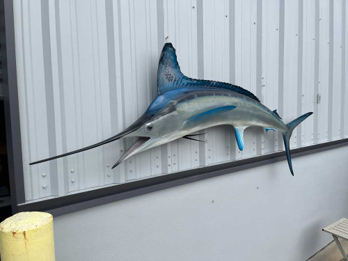 87 white marlin mount for sale