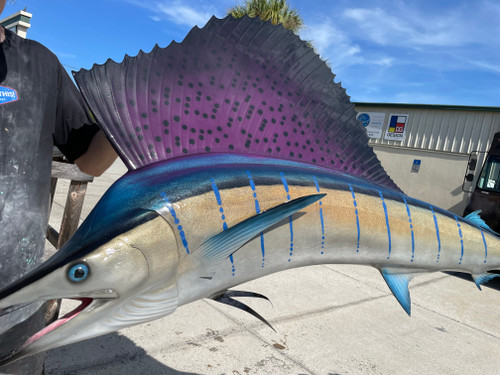 109 Inch Pacific Sailfish Fish Mount Replica Reproduction For Sale