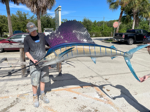 109 Inch Pacific Sailfish Fish Mount Replica Reproduction For Sale