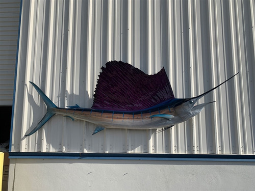 109 Inch Pacific Sailfish Fish Mount Replica Reproduction For Sale