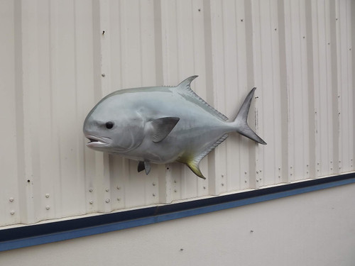 42 Inch Permit Full Mount Replica - Head View